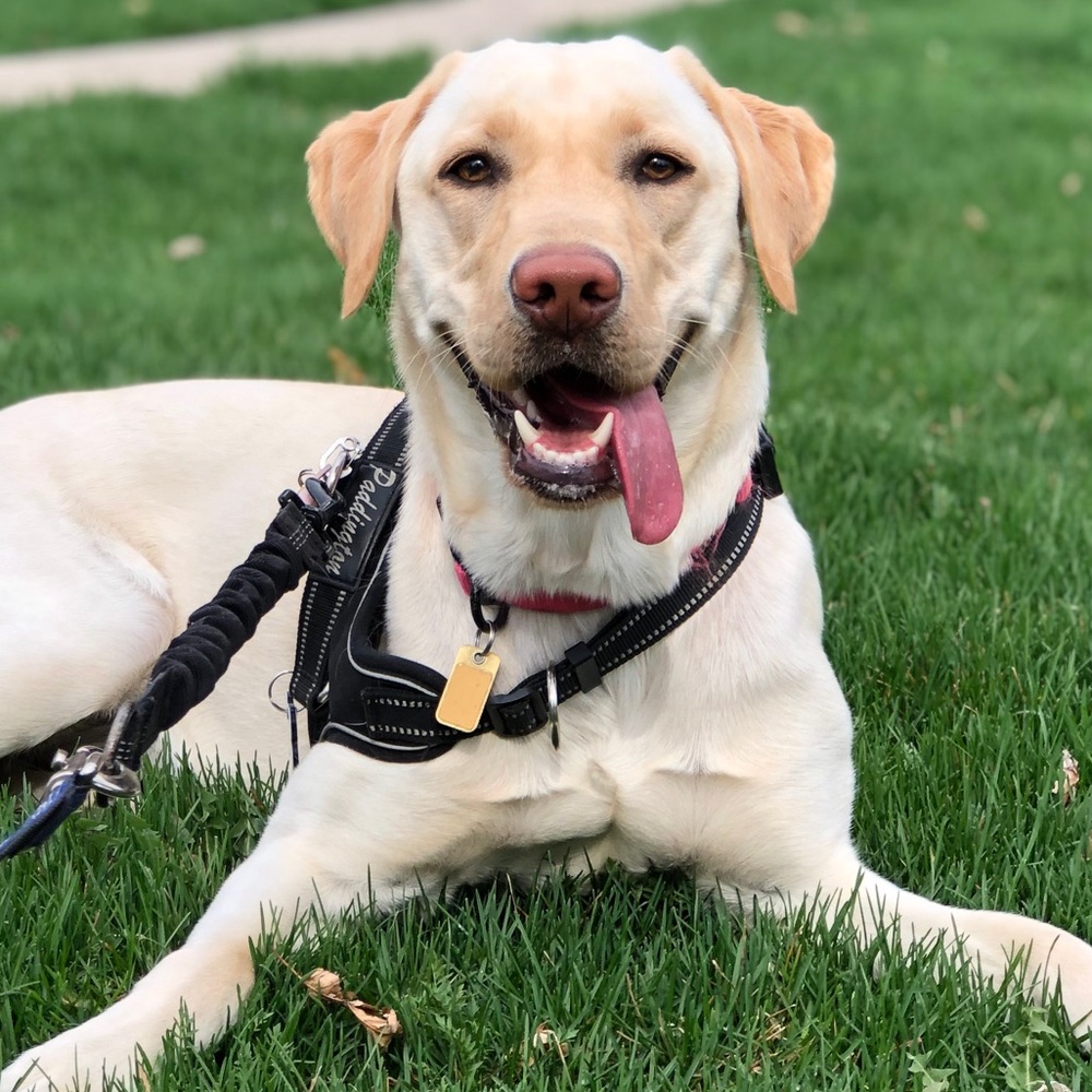 Meet your Posher, Beth